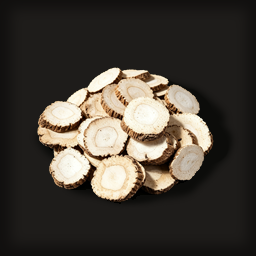 Angelica Root