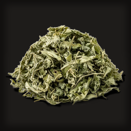 Mugwort
